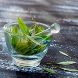 Ulei esențial de eucalipt